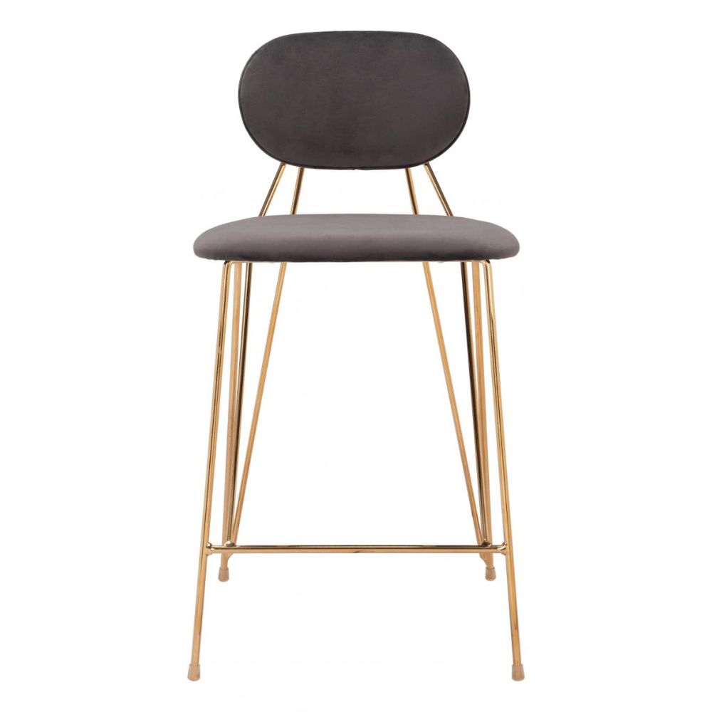 Georges Counter Stool (Set of 2) Gray & Gold