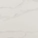 Solid light gray color swatch