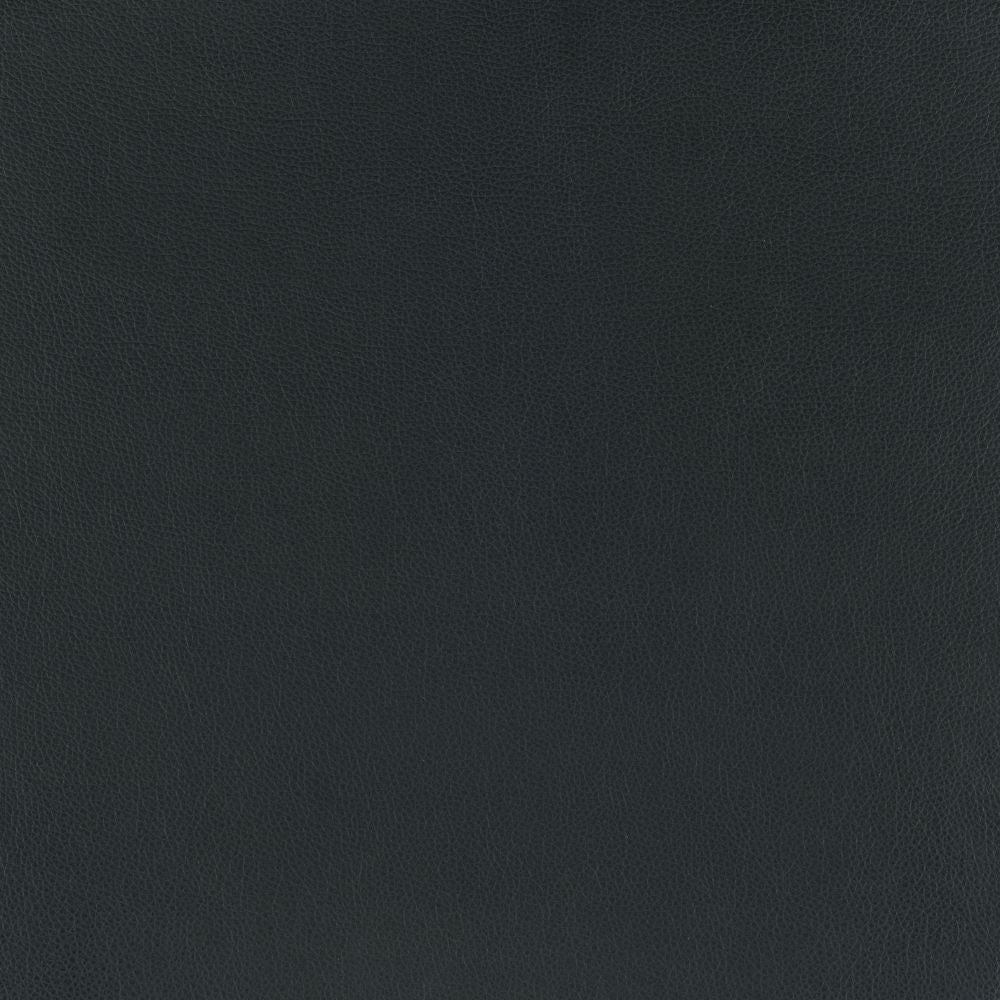 Solid dark gray color swatch