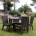 Outdoor dining set with table and chairs on a grassy area with palm trees in the background.