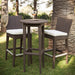 Outdoor patio set with two bar stools and a small table on grass.