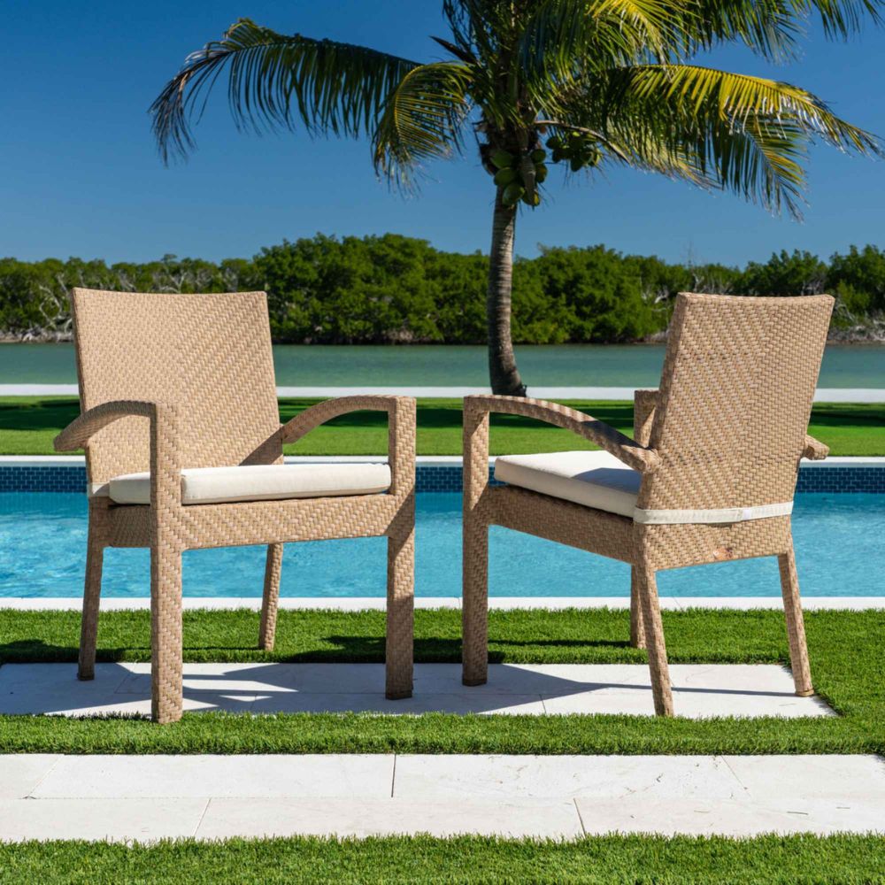 Two wicker chairs with cushions by a poolside with a palm tree in the background.