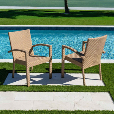 Two wicker chairs by a pool with green grass and a palm tree in the background.