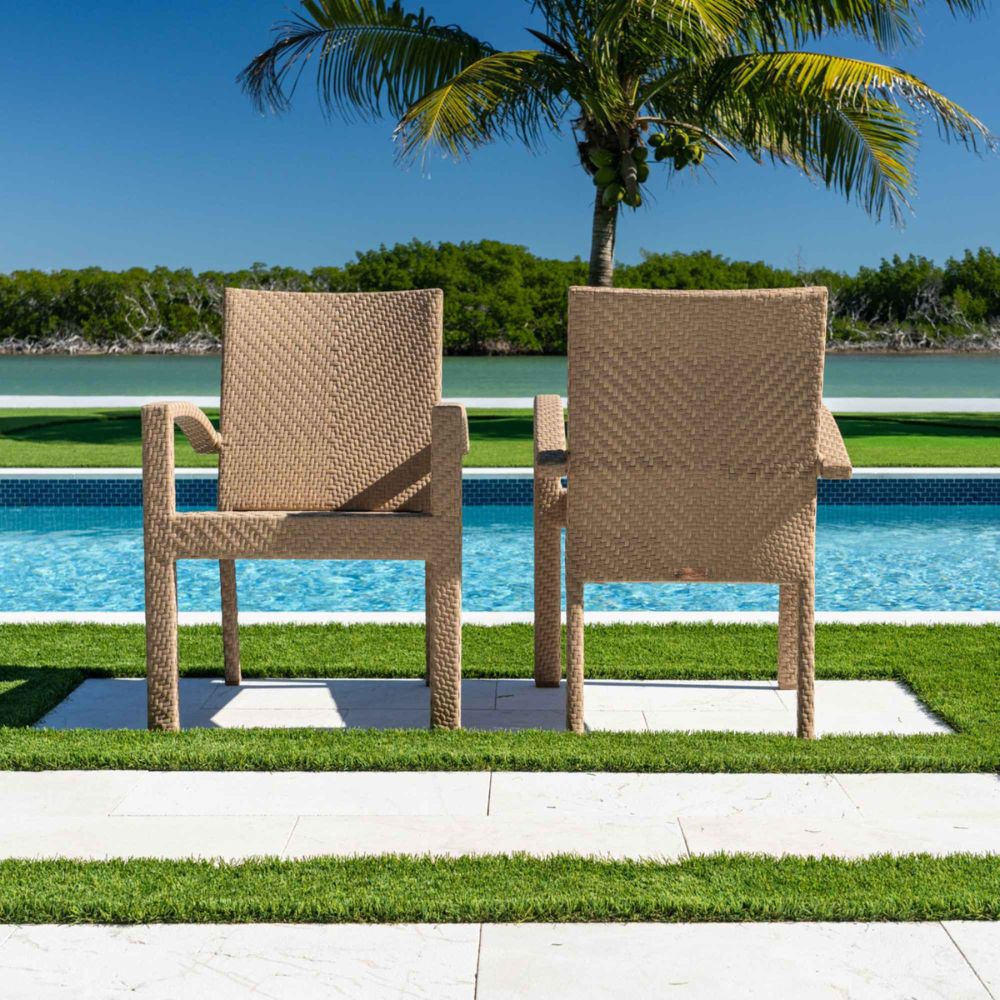 Two wicker chairs by a pool with a palm tree in the background