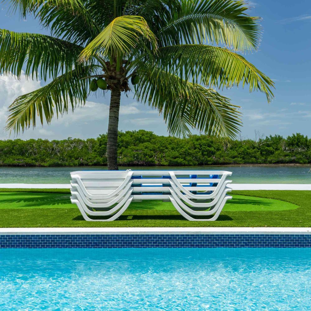 White lounge chairs by a pool with a palm tree and greenery in the background