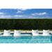 Four white lounge chairs in a pool with a hedge and blue sky in the background