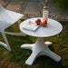 White outdoor table with a bottle of whiskey, apples, and a book on a grassy patio.